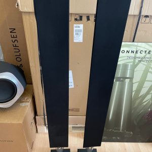 Bang and Olufsen BeoLab 8002 -Silver Black