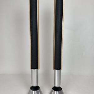 Bang & Olufsen BeoLab 28 Silver / Oak