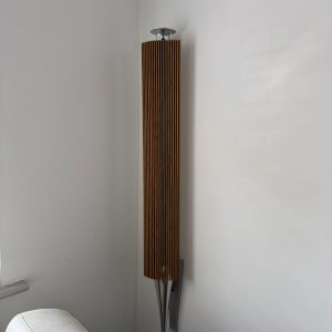 Bang & Olufsen BeoLab 18 Siver Oak With Wall Bracket